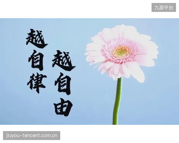 加克波个人条款敲定：从“自由”到“权利”，让你的数字生活更安全、更自由